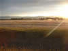 Crop Circle
