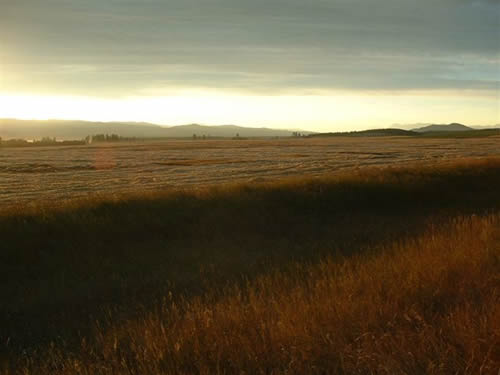 cropcircles Image