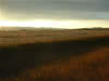 Crop Circle