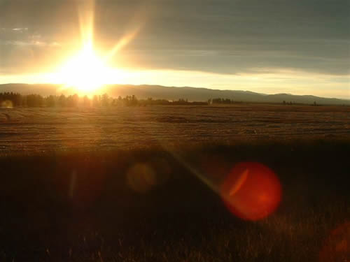 cropcircles Image