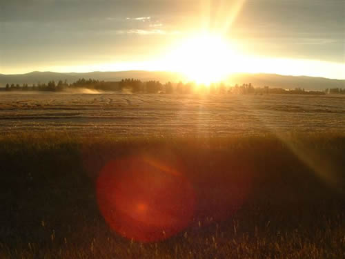 cropcircles Image
