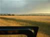 Crop Circle