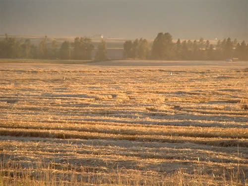 cropcircles Image