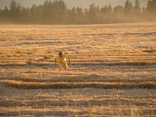 cropcircles Image