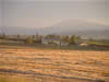 Crop Circle