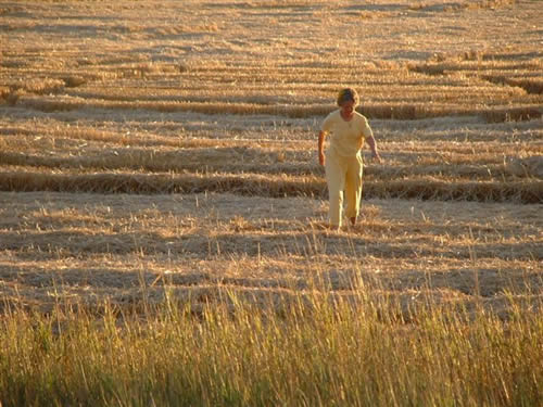 cropcircles Image