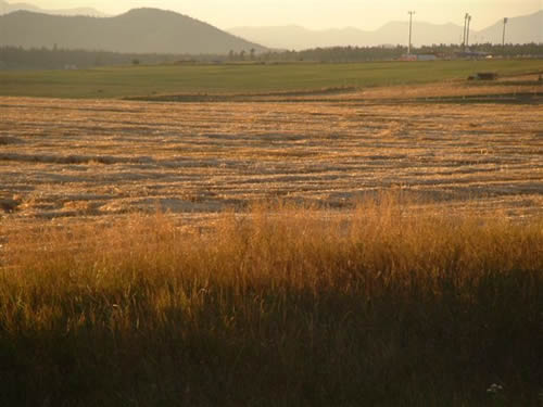 cropcircles Image