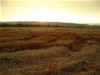 Crop Circle