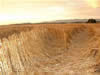 Crop Circle