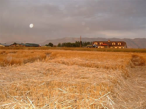 cropcircles Image