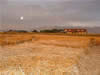 Crop Circle