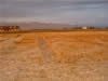 Crop Circle