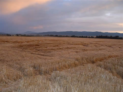cropcircles Image