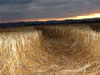Crop Circle