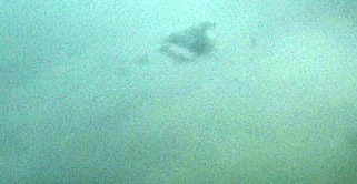 cropcircles Image