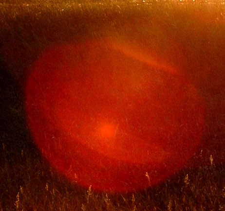 cropcircles Image