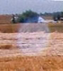 cropcircles Image
