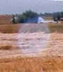 Crop Circle