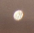 cropcircles Image