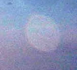 cropcircles Image