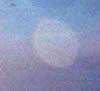 Crop Circle
